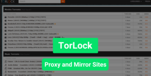 is it ok to torremt with the tor browser