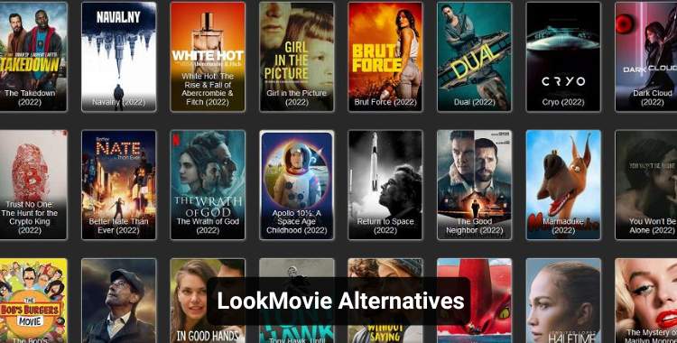 10 Best LookMovie Alternatives to Watch Latest Movies for Free