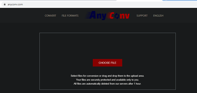 Anyconv website