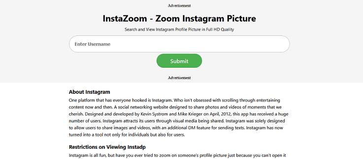 InstaZoom website