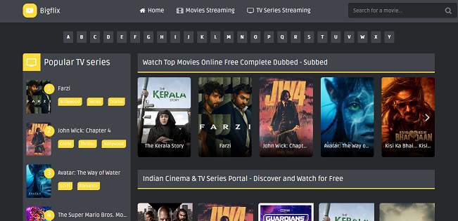 BIGFlix website