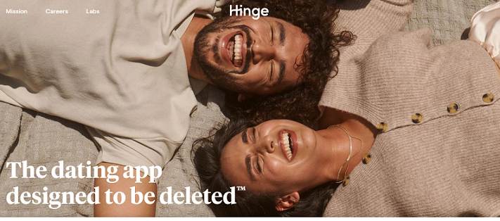 Hinge website