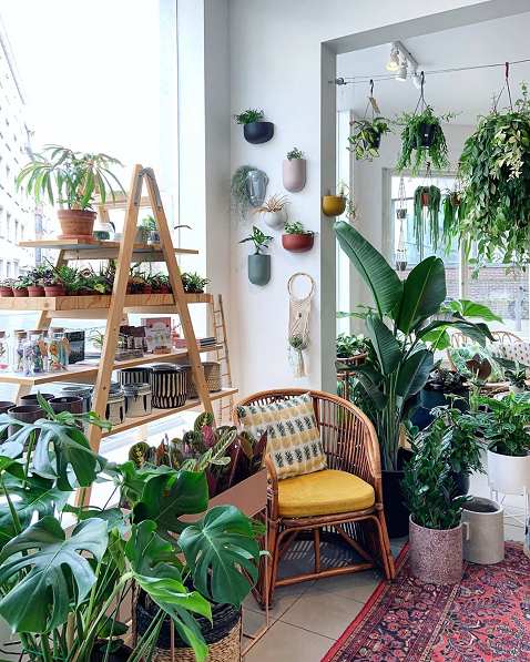 Cozy reading nook plants